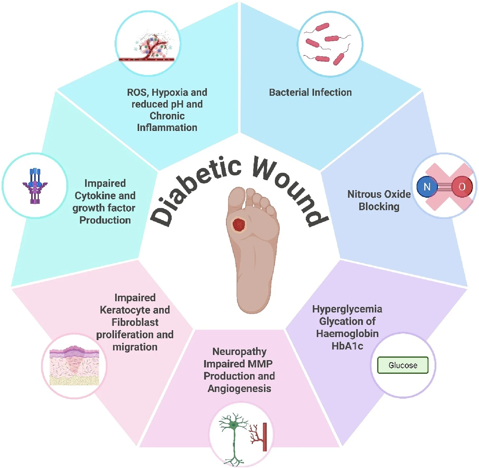 Diabetic Wound Management