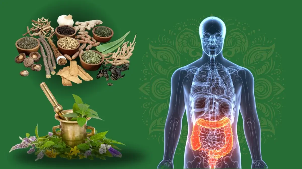 Virechana (विरेचन)